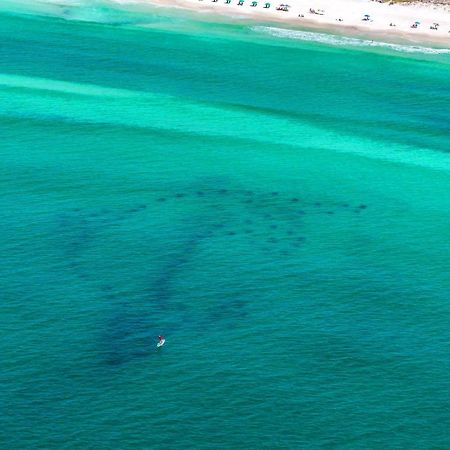 Beach Resort 316 Destin Zewnętrze zdjęcie