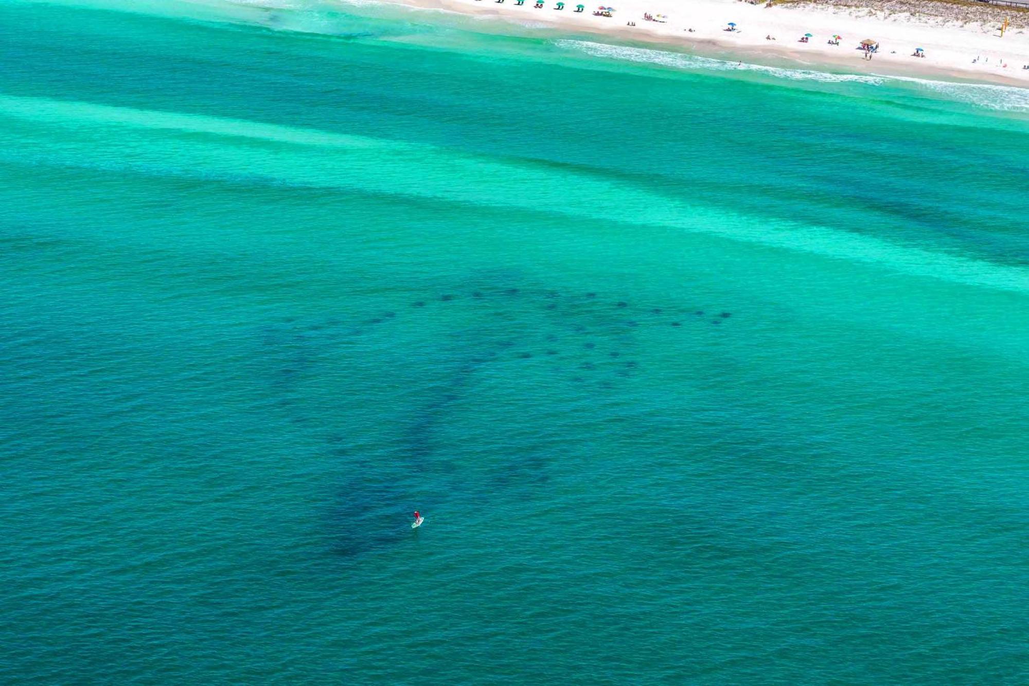 Beach Resort 316 Destin Zewnętrze zdjęcie